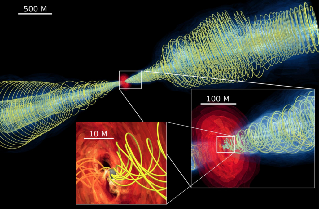 BHC: 3D morphology